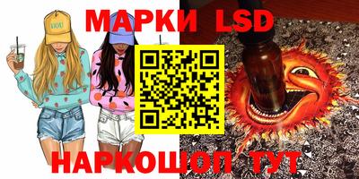 стафф Кингисепп