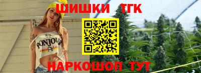стафф Кингисепп