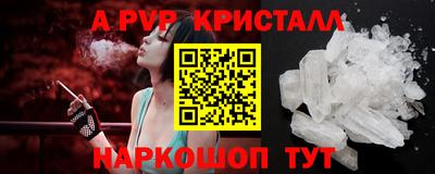 стафф Кингисепп