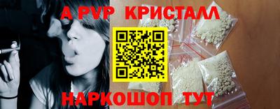 стафф Кингисепп