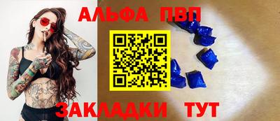 стафф Кингисепп