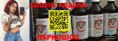 стафф Кингисепп