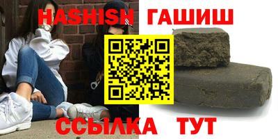стафф Кингисепп