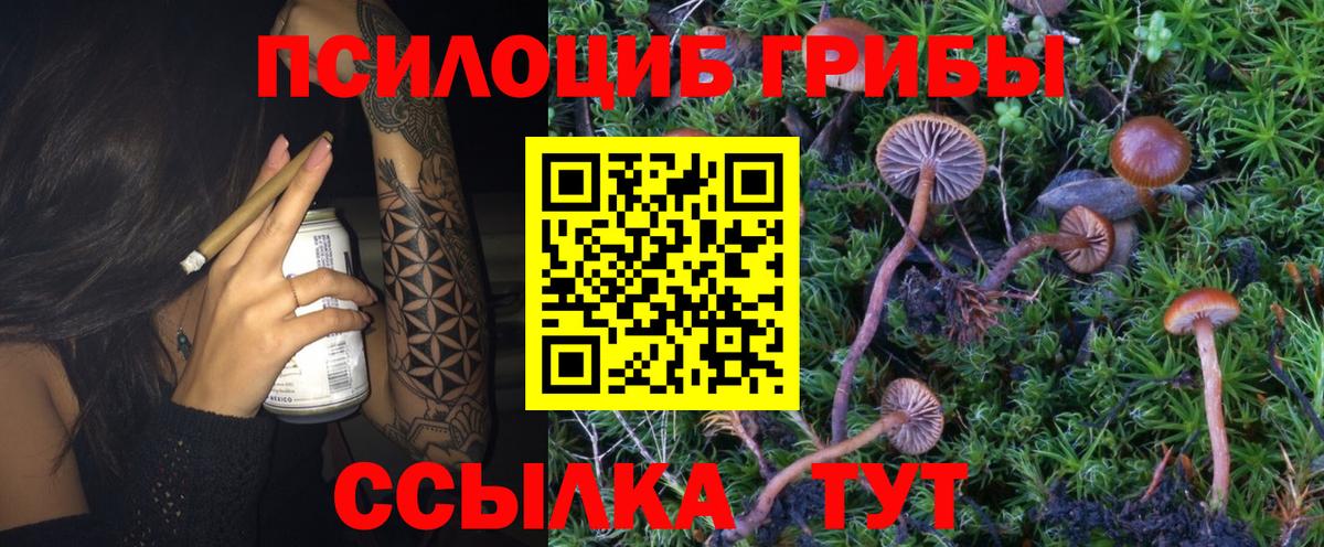 Псилоцибиновые грибы GOLDEN TEACHER Красноуфимск