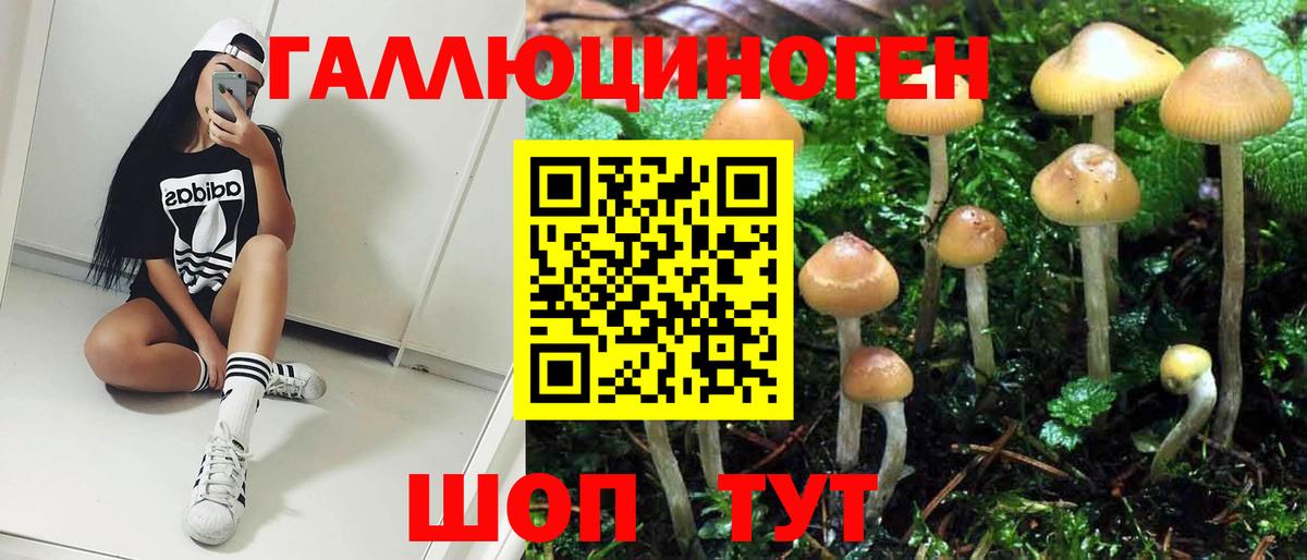 как найти наркотики  Галлюциногенные грибы Psilocybine cubensis  Вход с VPN  Красноуфимск 